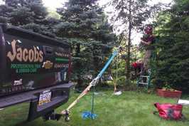 Uprighting and installing tree support system on fallen Douglas Fir tree