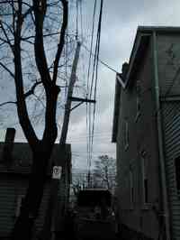 After clearing a Norway Maple from a building and utility lines in a tight spot.